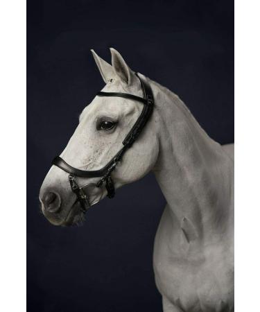PresTeq FaySport Snaffle Bridle black Pony