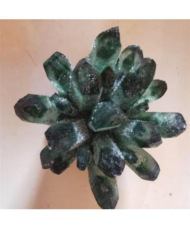 Specimen Natural Green Ghost Phantom Quartz Crystal Cluster Rock Stones and Crystals Reiki Specimen Home Decor 300-800g Stone Home Goods (Size : 500-600g) - Buy Online on SooperMarket.com