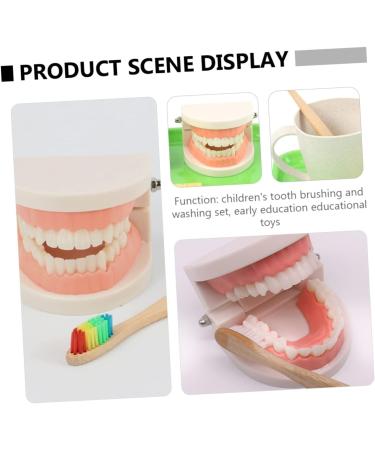 Shop Minkissy 3 Sets Early Education Tooth Toys for Toddlers - Montessori Standard Reusable Kids' Dental Learning Toys - Buy Online on SooperMarket.com