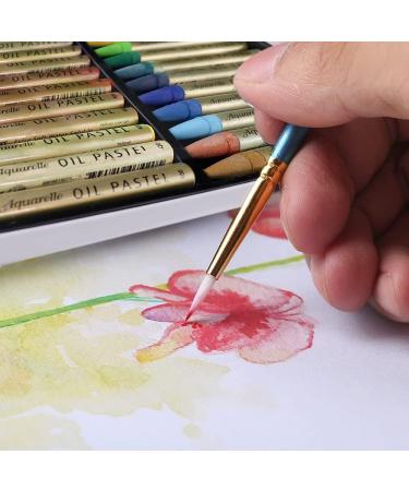 HA SHI Water Soluble Oil Pastels 24 Color - Premium Art Supplies for Kids & Adults - Buy Online on SooperMarket.com