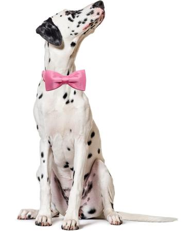 Lionet Paw's Comfortable Silk Pink Dog Collar with Removable Fly - Large Dogs (Neck 40-60cm) - 1 Pack - Buy Online on SooperMarket.com