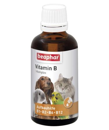 Beaphar - Vitamin B complex for dogs cats rodents birds - vitamin build -up cure B1 B2 B6 B12 - supports the immune system - appetizing - increases well -being - 50 ml pet peeling - 50 ml