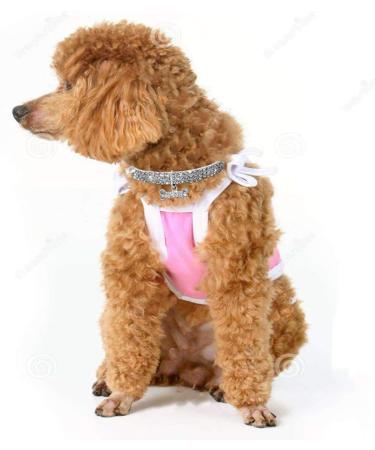 RayMinsino Pet collar with diamonds adjustable crystal diamond elastic bone pendant wedding cat and dog small pet necklace jewelry S White - Buy Online on SooperMarket.com