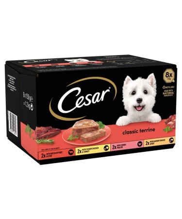 Cesar Classics Terrine Wet Food for Adult Dog Mixed Selections in Jelly 8 x 150g