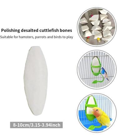 5pcs Small Cuttlefish Bone for Parrots | Natural Calcium Chew Toy for Birds - Buy Online on SooperMarket.com