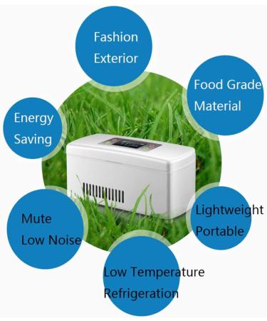 Insulin Car Refrigerator Dual-use Medicine Refrigerator Insulin Charging Refrigerated Box 2-8 C Constant Temperature Large Capacity 207 * 94 * 91MM White - Buy Online on SooperMarket.com