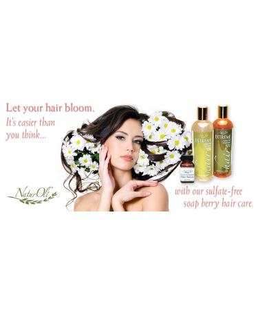 Extreme Hair Moisturizing Conditioner with Organic Soap Berry Powder | Gluten Free - Shop Internationally - Buy Online on SooperMarket.com
