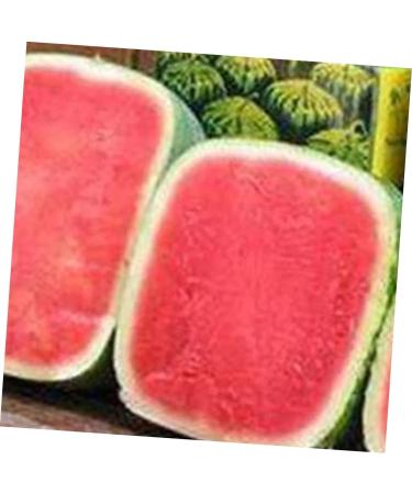 OSALADI 2pcs Pumpkin Fruit Tools Vegetable Growth Mold Large Pole Shaping Mold Watermelon Square Former 15x15cmx2pcs Transparentx2pcs - Buy Online on SooperMarket.com