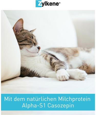 Zylkene Vetoquinol Capsules 75 mg - 60s Pack | Support for Dogs in Unusual Situations | Buy Online - International Shipping Available - Buy Online on SooperMarket.com