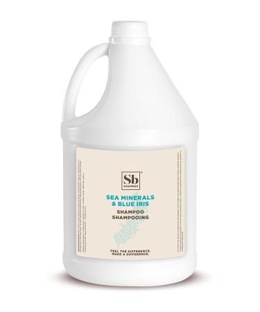 Soapbox Sea Minerals & Blue Iris Shampoo  Vegan  Color Safe  Sulfate Free & Silicone Free Hair Shampoo Refill for Home & Professional Use - Gallon Size
