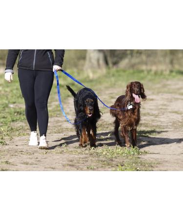 Police style dog training lead 6ft Multiple colours (Blue) - Buy Online on SooperMarket.com