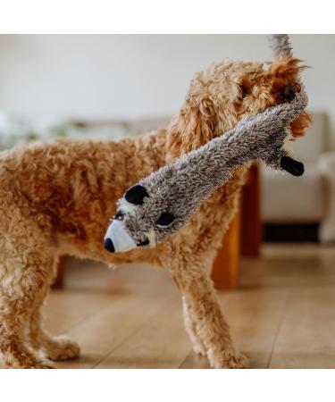 Nobby Plush Raccoon for Dogs - 61 cm | Soft & Durable Pet Toy - International Shipping - Buy Online on SooperMarket.com