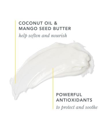 Beekman 1802 Whipped Body Cream - Pure Goat Milk Formula for Clear Soft Skin - 8oz - Fig Leaf - Sensitive Skin - Cruelty Free - Buy Online on SooperMarket.com