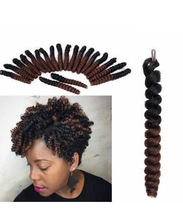 3 Packs Eunice Hair Curlkalon Toni Curl Synthetic Ombre Lichten Hair Topes Free Hook Gift KanaCalon Crochet Braids Bounce Locked Toni Costs 20 Roots/Pack (20 Inch 1b 30) 20 Inch (3 Packs) 1b 30