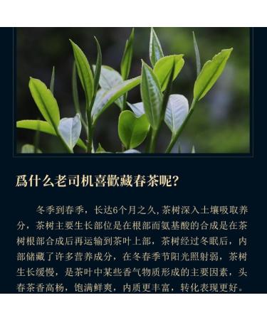 Pu-erh tea 2021 Yiwu luoshui dong 357g Raw - Buy Online on SooperMarket.com