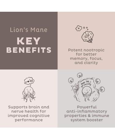 KOS Organic Lion's Mane Powder 12.84 oz - Enhance Focus & Cognitive Function - Buy Online on SooperMarket.com