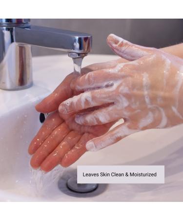 Dionis Goat Milk Skincare Deep Moisturizing Hand Soap Refill - 48 Oz Bottle - Buy Online on SooperMarket.com