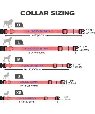 Tagme Personalized Dog Collar for Small Dogs - Embroidered Reflective Nylon with Name & Phone Number - BabyroSa XS (1 Pack) - Buy Online on SooperMarket.com
