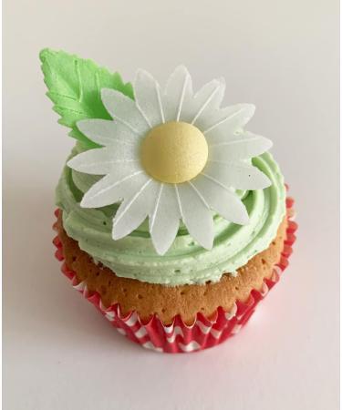 12 Gorgeous Mixed Colour Edible Wafer Daisies & 12 Pretty Leaves - Buy Online on SooperMarket.com
