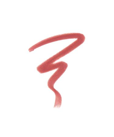 Buy Anastasia Beverly Hills Lip Liner Dusty Rose - Top Quality Fast International Shipping - Buy Online on SooperMarket.com