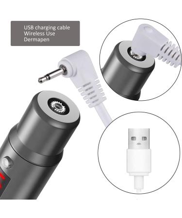 Derma Pen Hair Beard Growth INCELLICE Microneedling Pen 0.25-2.0mm Adjustable 5 Speeds Wireless Use Professional Electric Beauty Pen for Face Skin Care with 2 Replacement Cartridges and USB Charger Dermapen P40-Gery - Buy Online on SooperMarket.com