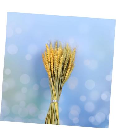 MAGICLULU 1 Decor Natural Wheat Rural Wheat Dried Wheat Simulation Wheat Dried Flowers Bouquet - Buy Online on SooperMarket.com
