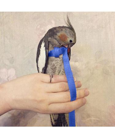 Newsmy Bird Harness Adjustable Feather Tether Parrot Harness Leash Outdoor Training Carrier for Budgerigar Lovebird Cockatiel Mynah Cockatoo Parakeet Macaw (Blue S) - Buy Online on SooperMarket.com