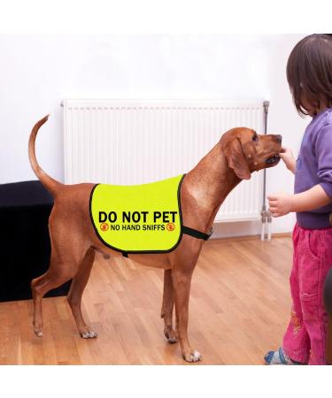 Do Not Pet No Hand Sniffs Dog Jacket Vest Nervous Anxious Dog Slogan Warning Vest (NO HAND SNIFFS Medium) NO HAND SNIFFS M EU - Buy Online on SooperMarket.com