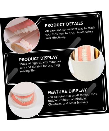 Shop Minkissy 3 Sets Early Education Tooth Toys for Toddlers - Montessori Standard Reusable Kids' Dental Learning Toys - Buy Online on SooperMarket.com
