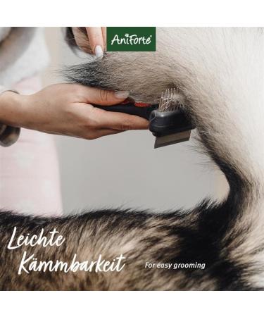 Aniforte Fellharmonie Conditioner for Dogs 200ml - Natural Coconut Oil & Aloe Vera Rinse for All Coat Types Perfume-Free International Shipping - Buy Online on SooperMarket.com