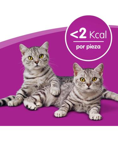 Whiskas Dentabites Cat Snack - Chicken Flavor (Pack of 8 x 40g) - International Shipping Available - Buy Online on SooperMarket.com
