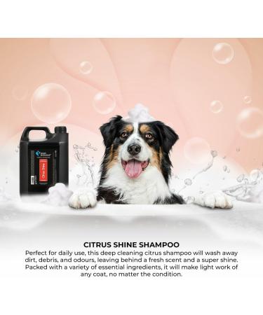 GROOM PROFESSIONAL Citrus Shine Dog Shampoo 4L - Deep Cleansing & Deodorizing Formula with Peach Oil for Greasy Coats - Fresh Citrus Scent - Ideal for Smelly Dogs - Buy Online on SooperMarket.com