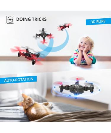 Holy Stone HS190 Foldable Mini Nano RC Drone for Kids - Portable Pocket Quadcopter with Altitude Hold, 3D Flips, Headless Mode - Easy to Fly for Beginners - Black - Buy Online on SooperMarket.com
