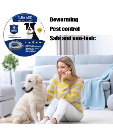 Teck Neck Band for Dogs & Cats | Adjustable Tick & Flea Collar | 100% Natural Ingredients | Up to 8 Months Protection - Buy Online on SooperMarket.com