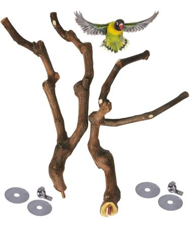 PINVNBY Natural Parrot Perch Stand Wild Grape Stick Toy for Small Birds - 2PCS - Buy Online on SooperMarket.com