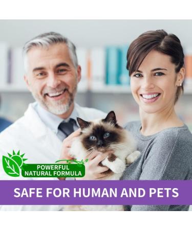 Calming Cat Collar for Anxiety Relief | Adjustable, Waterproof, Safe Pheromone Anti-Anxiety Treatment | Natural Calm for Kitten, Medium, Large Cats | Purple (2 Pack) - Buy Online on SooperMarket.com