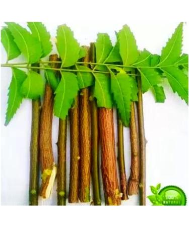 OMC Organic Neem Stick Datun Brush 10pcs - Natural Oral Care for Strong Teeth and No Germs - Buy Online on SooperMarket.com