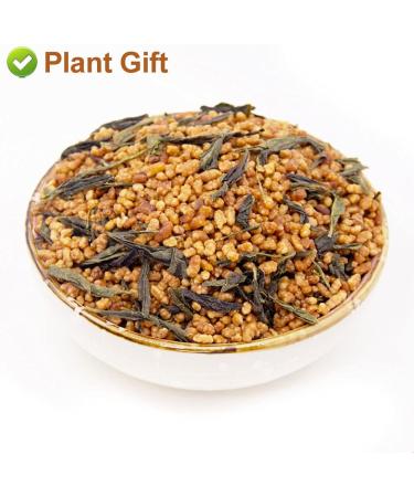 Flower 2 (170G-Genmaicha Tea) - Buy Online on SooperMarket.com