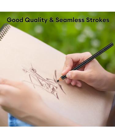 Dyvicl Charcoal Pencils Drawing Set - 12 Pieces for Drawing, Sketching, Shading, Blending - Ideal for Beginners and Artists - Buy Online on SooperMarket.com