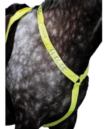 Equi-Flector Shires Breastplate - Pink: Cob/Full - Buy Online on SooperMarket.com