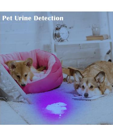 Waklyte 21 LED Mini Black Light Flashlight - Powerful UV Pet Urine Detector and Resin Curing Tool - Buy Online on SooperMarket.com
