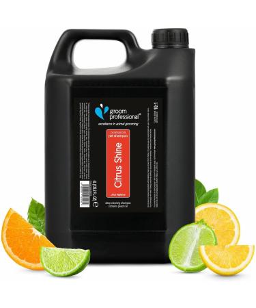 GROOM PROFESSIONAL Citrus Shine Dog Shampoo 4L - Deep Cleansing & Deodorizing Formula with Peach Oil for Greasy Coats - Fresh Citrus Scent - Ideal for Smelly Dogs - Buy Online on SooperMarket.com
