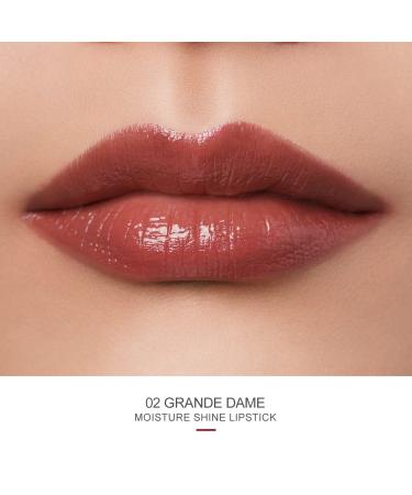 Oulac 2-in-1 Lipstick & Lip Balm - Juicy Shiny Lip Care for Smooth Hydrated Lips | Vegan Plummy Terracotta - Buy Online on SooperMarket.com