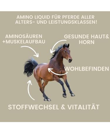 Premium Vitamin Paste for Horses | Amino Acids & Energy Booster | Muscle Regeneration & Performance | 3x30ml - Buy Online on SooperMarket.com