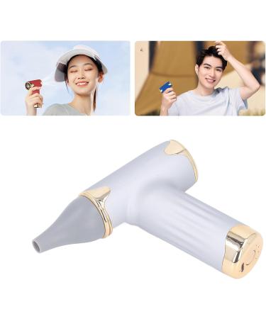 Alomejor Mini Fan - Portable Bladeless Hair Dryer for Pets | 4 Wind Levels 1100mAh Battery - Ideal for Cats & Dogs (Silver - Buy Online on SooperMarket.com