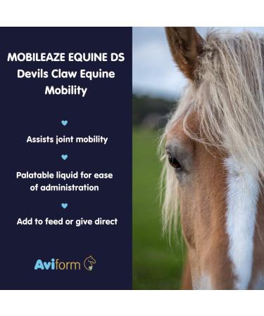Aviform MOBILEAZE EQ Devil's Claw Equine Mobility Supplement with MSM 1000ml - Fast Delivery - Buy Online on SooperMarket.com