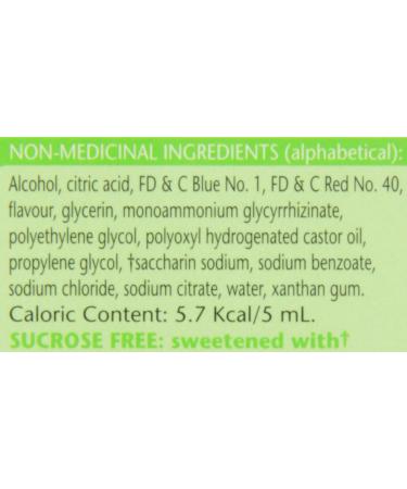 BENYLIN Extra Strength Mucus and Phlegm Syrup Relieves Chest Congestion and Mucus and Phlegm 250mL Mucus & Phlegm Relief 250 ml (Pack of 1) - Buy Online on SooperMarket.com