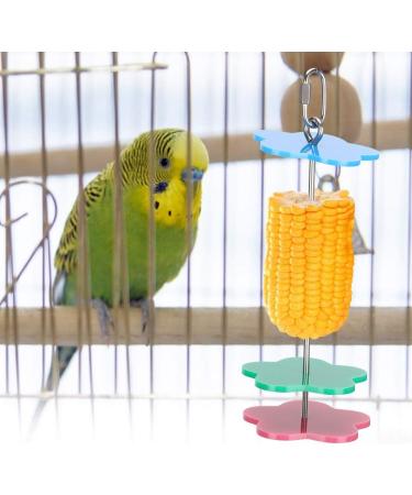 Fruit Holder for Parrots - Spit Fruit & Vegetable Skewers for Birds | Ideal for Budgies Nymphs & More - Buy Online on SooperMarket.com