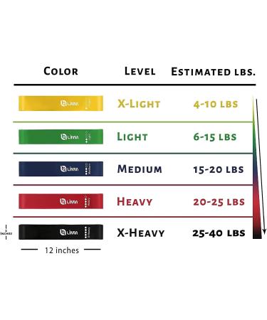 Limm Resistance Loop Exercise Bands - Set of 5 with Instruction Guide & Carry Bag - Latex Stretch Bands for Home Workout & Physical Therapy - Multicolor Set for Women and Men - Buy Online on SooperMarket.com