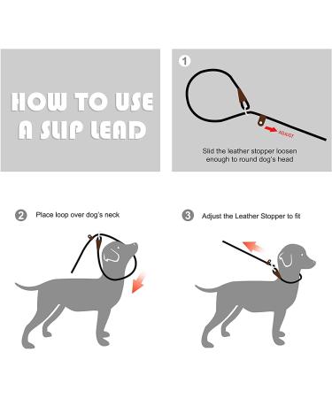 Fida Slip Rope Dog Lead - 1.8m One-Size-Fits-All Leash | Easy Slip-On Design, Reflective Stitching, Durable Climbers Rope - Large Green (1.3cm x 1.8m) - Buy Online on SooperMarket.com